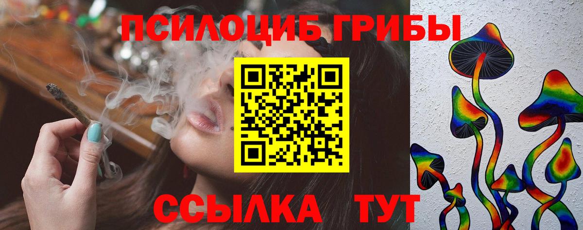 Галлюциногенные грибы Cubensis Чебоксары