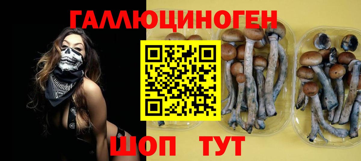 Галлюциногенные грибы Cubensis  Вход с VPN  Чебоксары 